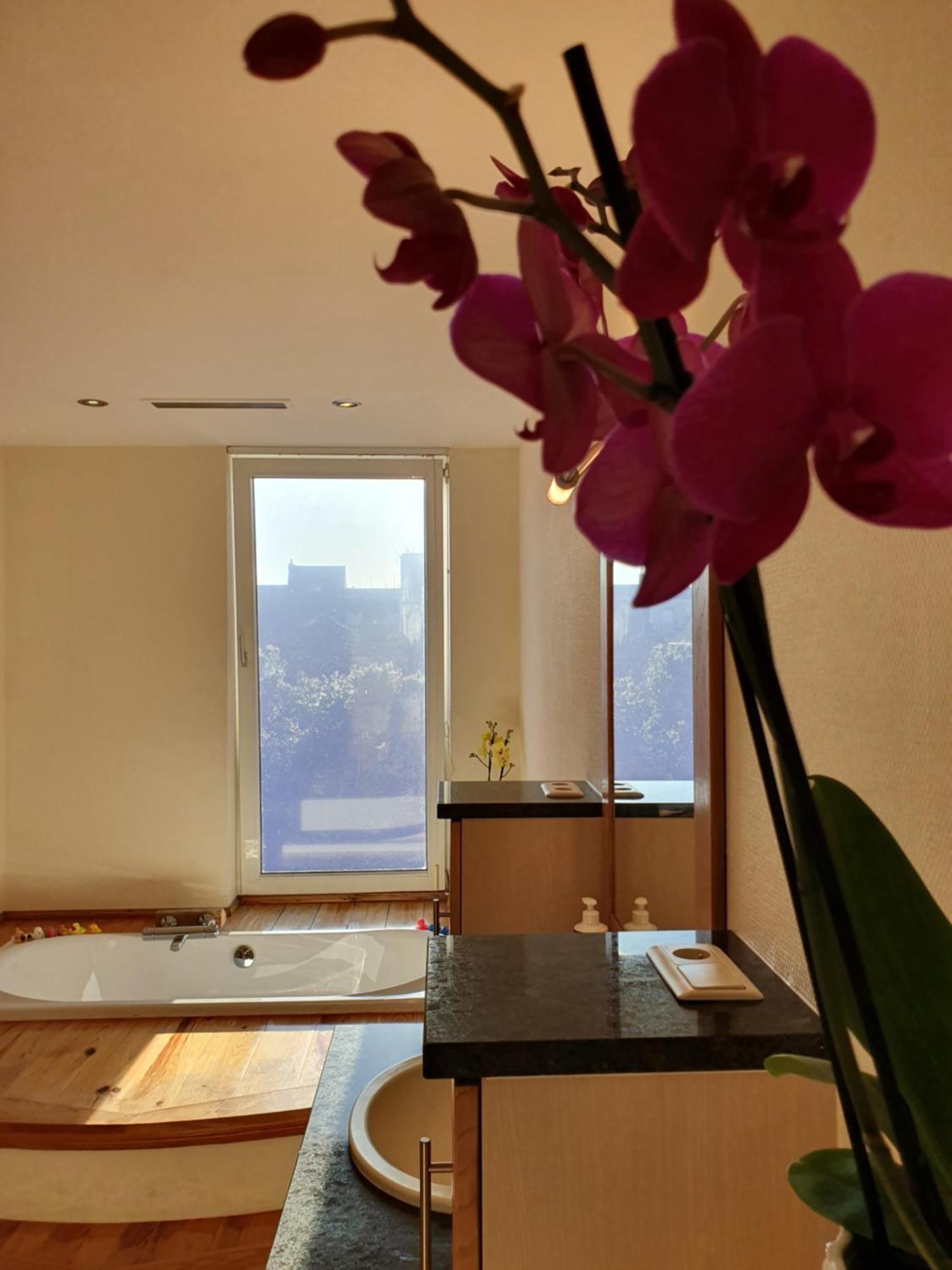 米德尔克尔克Huize La Passion Vacationhouse 10 Min Walk From The Sea别墅 外观 照片